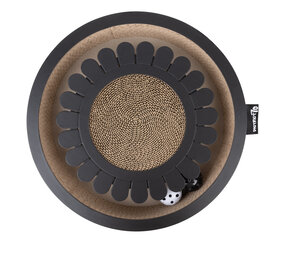 District 70 Bloom District 70 Bloom