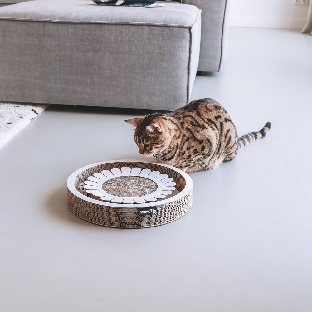 District 70 Bloom, Krabben en spelen in één!