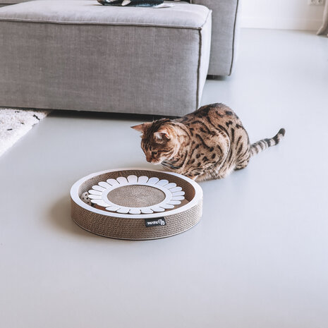 District 70 Bloom, Krabben en spelen in één!