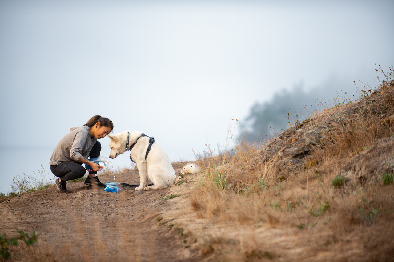 RUFFWEAR Quencher Bowl, makkelijk mee te nemen tijdens een lange wandeling RUFFWEAR Quencher Bowl, makkelijk mee te nemen tijdens een lange wandeling
