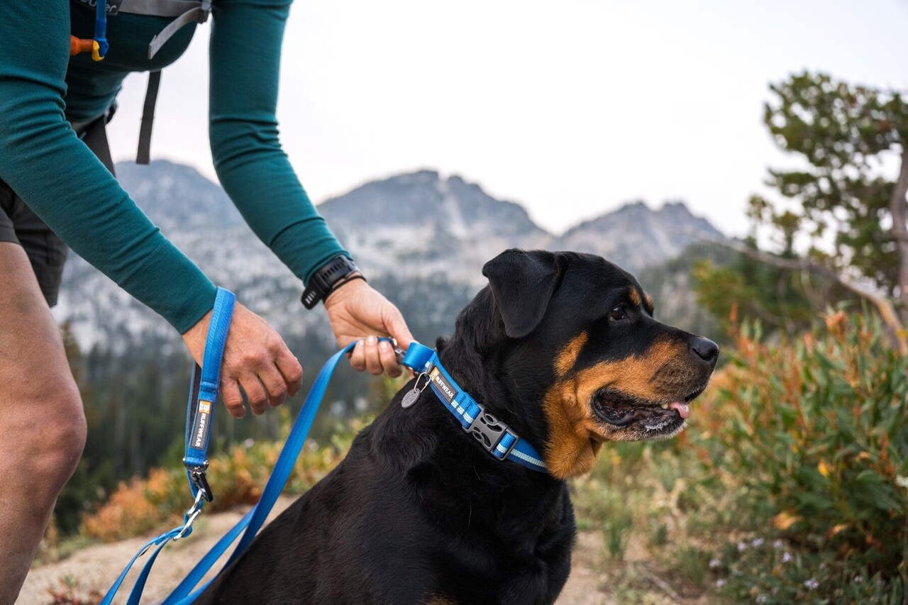 RUFFWEAR Web Reaction half slip halsband RUFFWEAR Web Reaction half slip halsband