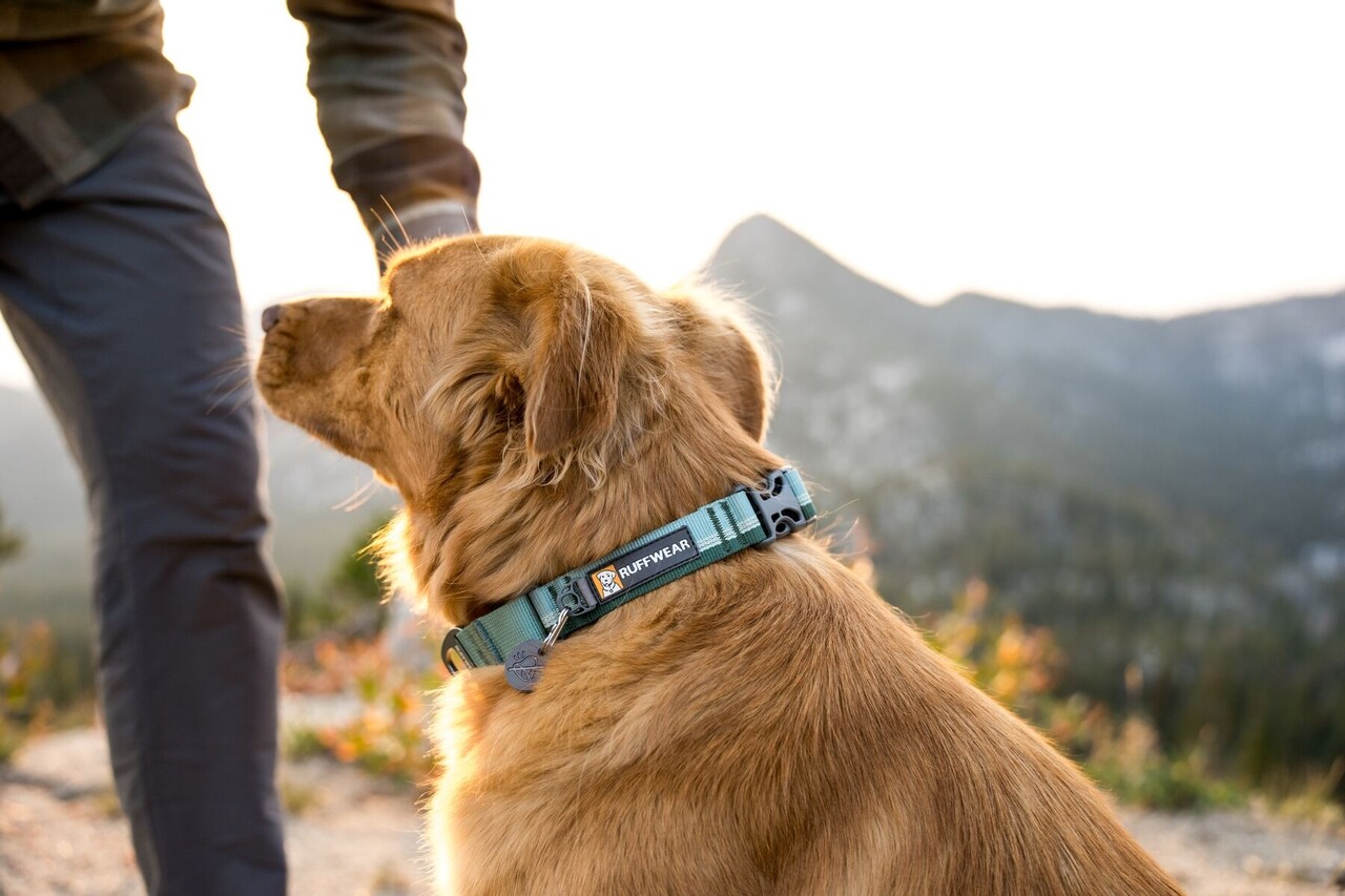 RUFFWEAR Web Reaction half slip halsband RUFFWEAR Web Reaction half slip halsband