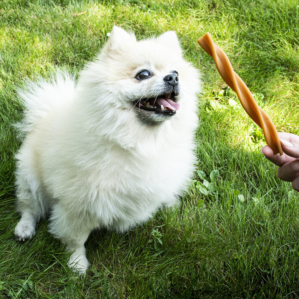 Duvo+ Garden Bites Fruity Dental Swirls ideaal voor honden met een dierlijk eiwit allergie of gluten-intolerantie