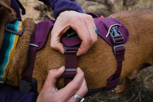 RUFFWEAR RUFFWEAR Web Master Harness RUFFWEAR RUFFWEAR Web Master Harness