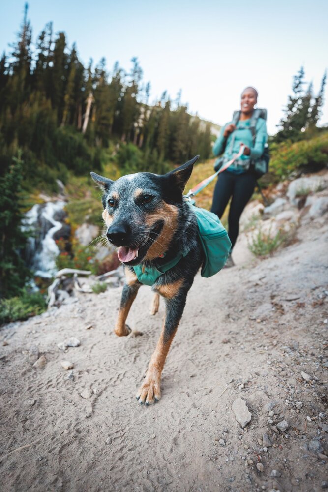 Rugzak hond ruffwear hotsell
