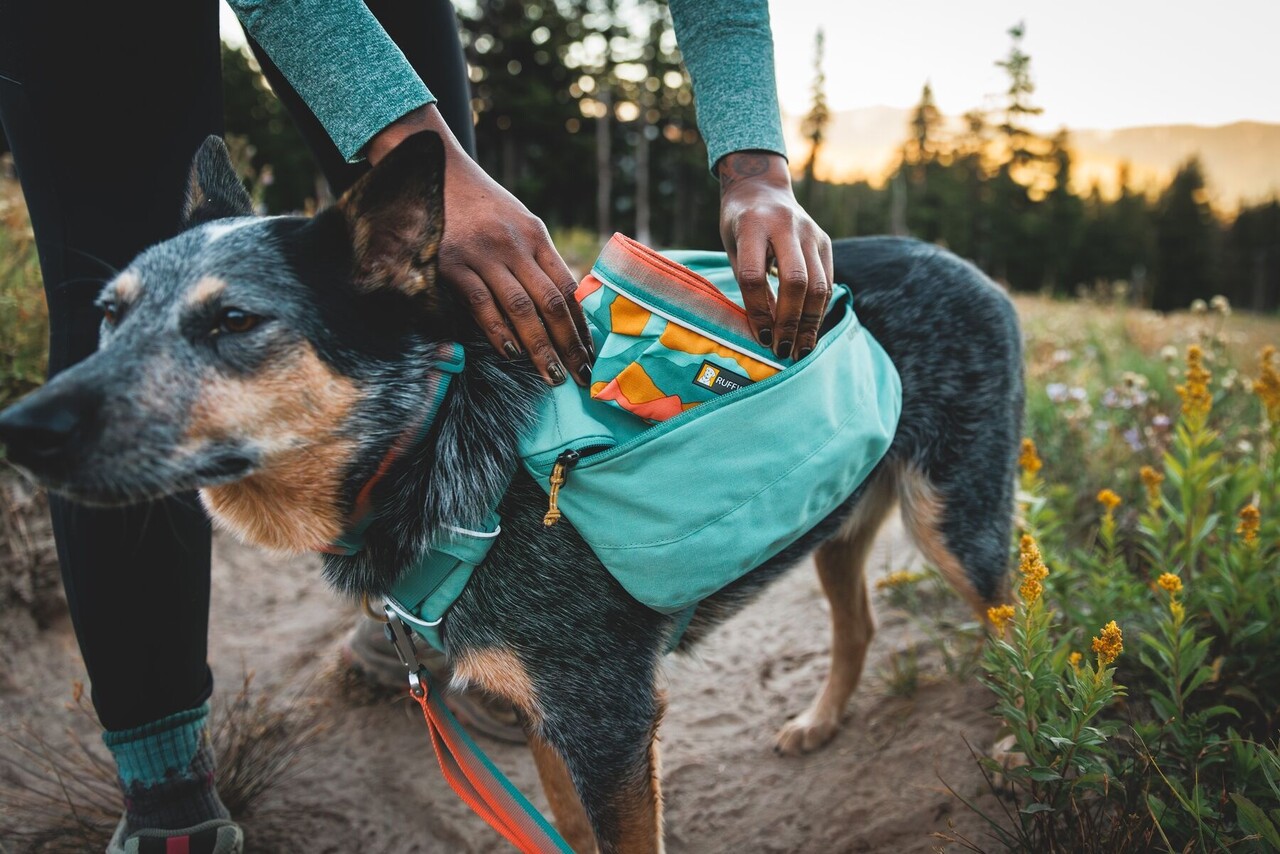Rugzak hond ruffwear hotsell