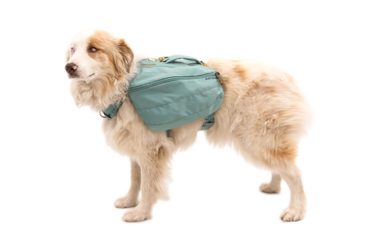 RUFFWEAR Front Range Day Pack, optimaal zittende rugzak voor de sportieve honden die mee gaan wandelen.