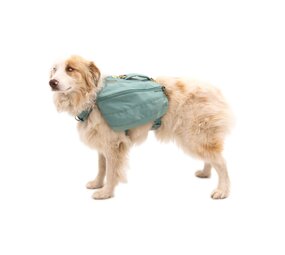 RUFFWEAR Front Range Day Pack