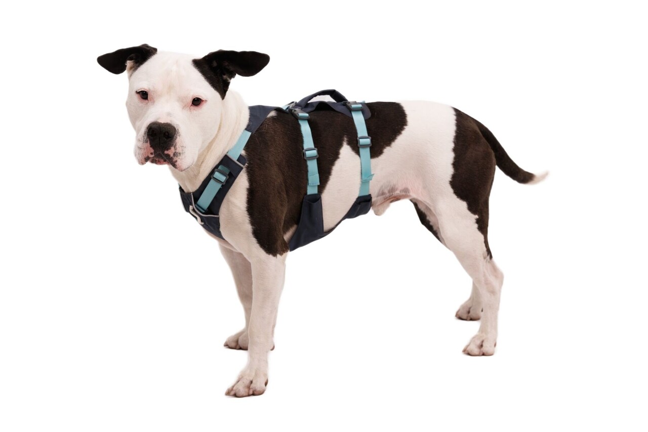 RUFFWEAR RUFFWEAR Flagline Harness