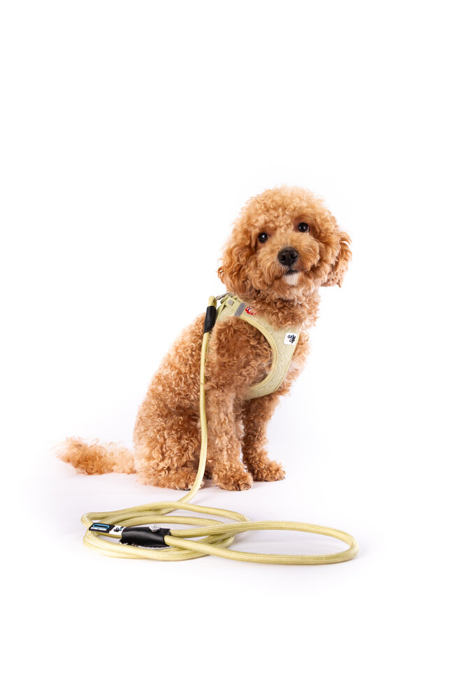 Curli Limited Edition harnas + lijn van 2024 Curli Limited Edition harnas + lijn van 2024