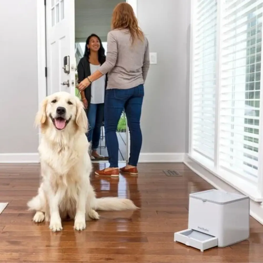 Petsafe Petsafe teach & Treat afstandtrainer