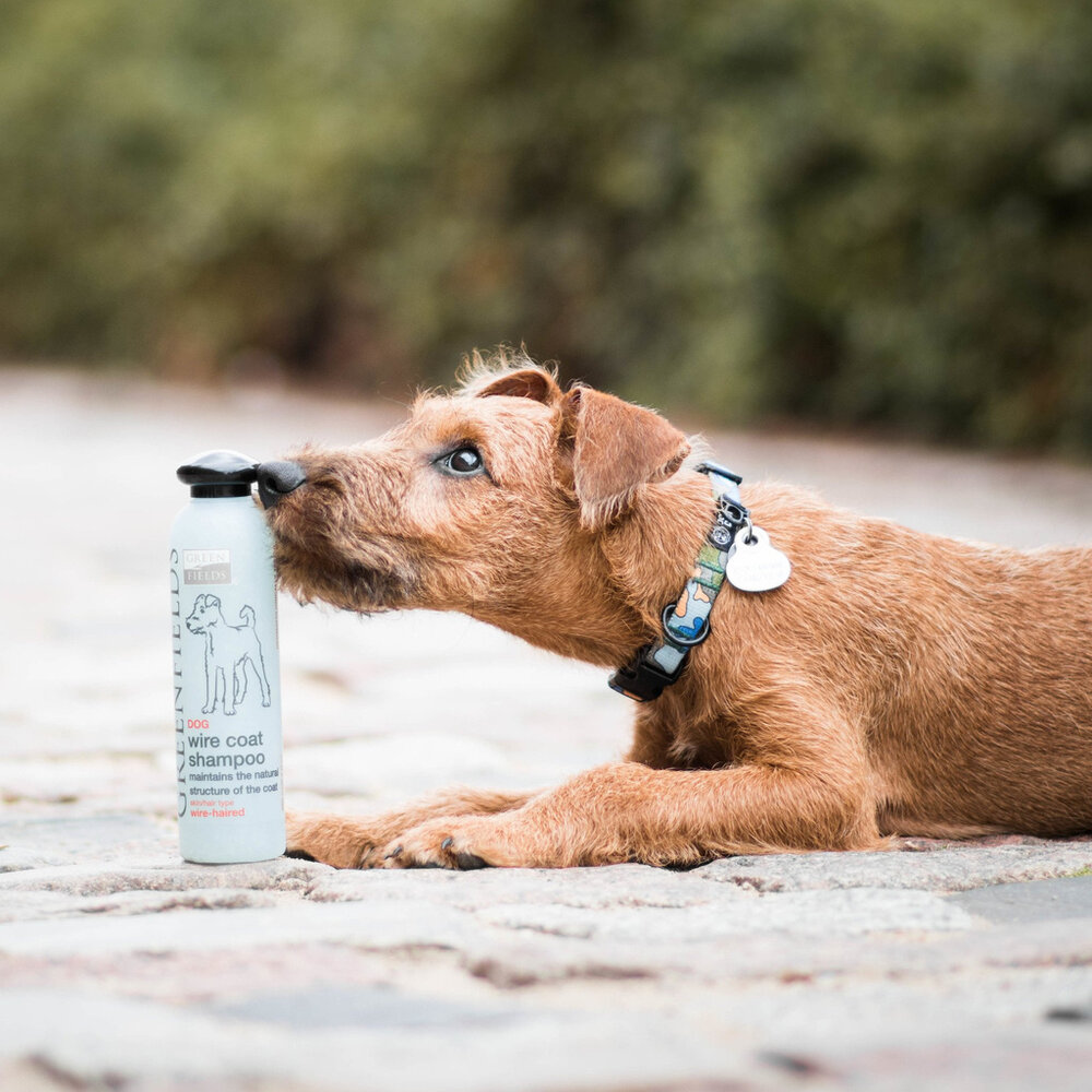 Greenfields Hondenshampoo Wire Coat, Speciaal voor de ruwharige hond Greenfields Hondenshampoo Wire Coat, Speciaal voor de ruwharige hond