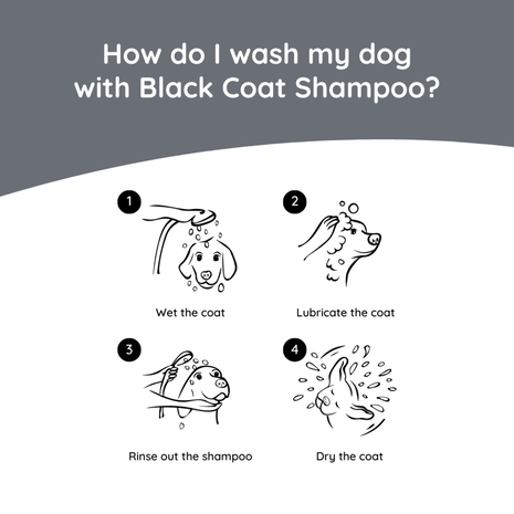 Greenfields Hondenshampoo Black Coat