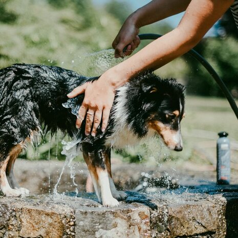 Greenfields Hondenshampoo Black Coat