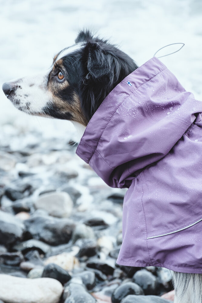 Hurtta Drizzle Coat beschermt uw hond tegen regen en viezigheid. Grijp je kans de laatsten in het paars met extreem hoge korting!