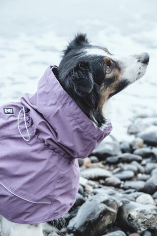 Hurtta Drizzle Coat beschermt uw hond tegen regen en viezigheid. Grijp je kans de laatsten in het paars met extreem hoge korting!
