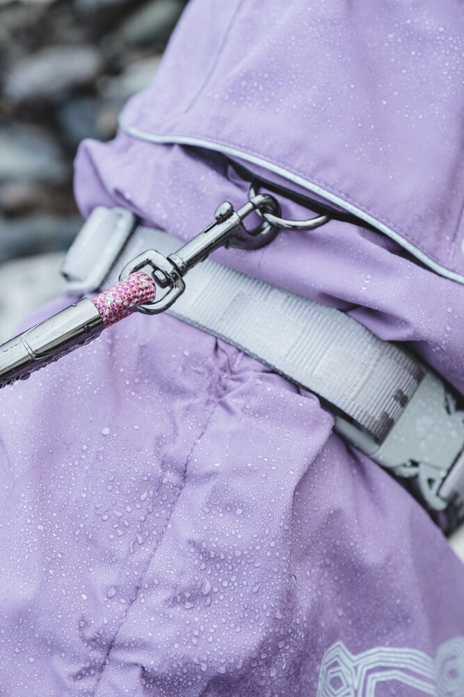 Hurtta Drizzle Coat beschermt uw hond tegen regen en viezigheid. Grijp je kans de laatsten in het paars met extreem hoge korting!