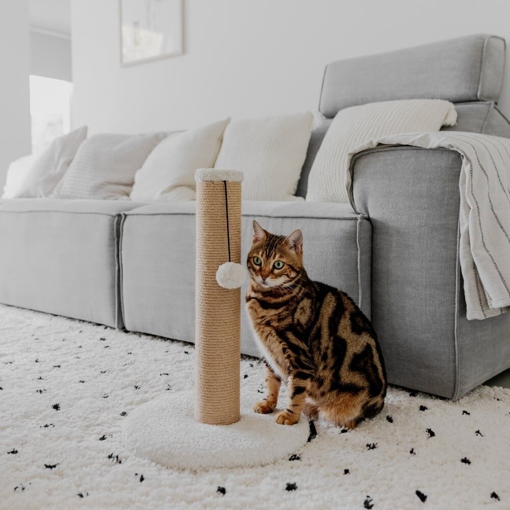 District 70 DONNA krabpaal combineert stijl met functionaliteit. District 70 DONNA krabpaal combineert stijl met functionaliteit.