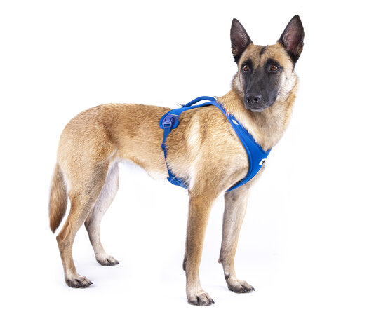 Curli Belka Air Mesh  Harnas, voor elke middelgrote tot grote hond een harnas met een mooie pasvorm. Curli Belka Air Mesh  Harnas, voor elke middelgrote tot grote hond een harnas met een mooie pasvorm.