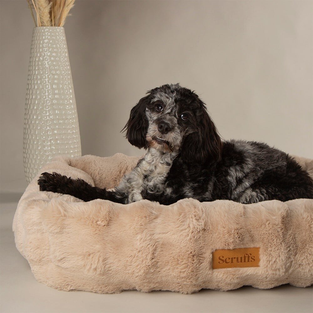 Scruffs Alpine Box Bed Champagne maat XXL (110 x 75 x 18 cm) een zachte en comfortabele slaapplek voor honden Scruffs Alpine Box Bed Champagne maat XXL (110 x 75 x 18 cm) een zachte en comfortabele slaapplek voor honden