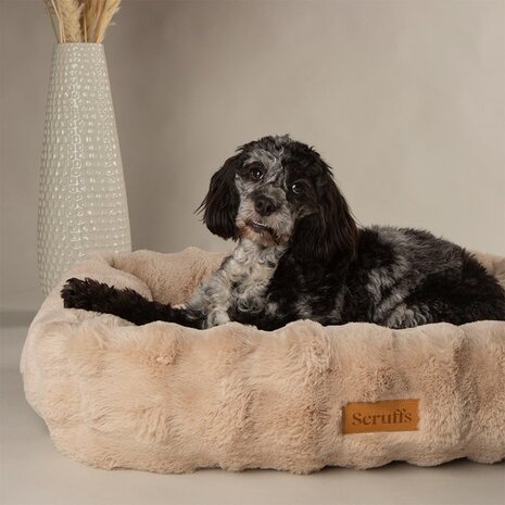 Scruffs Alpine Box Bed Champagne maat XXL (110 x 75 x 18 cm) een zachte en comfortabele slaapplek voor honden Scruffs Alpine Box Bed Champagne maat XXL (110 x 75 x 18 cm) een zachte en comfortabele slaapplek voor honden