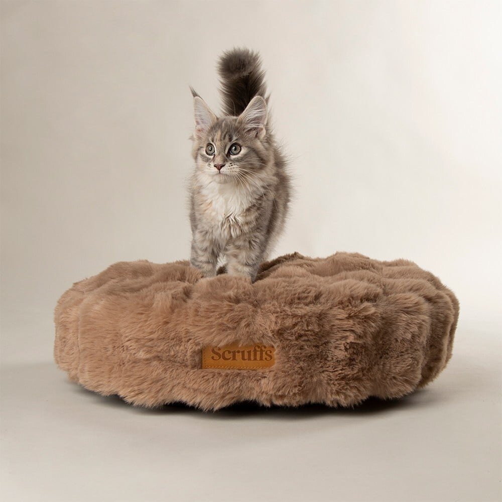 Scruffs Alpine Cat Bed Taupe ontworpen voor ultiem comfort van katten en kleine honden. Scruffs Alpine Cat Bed Taupe ontworpen voor ultiem comfort van katten en kleine honden.