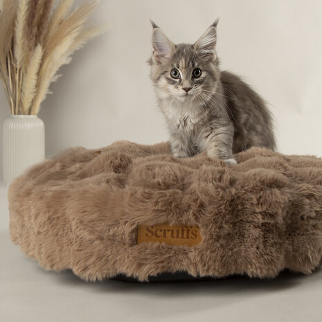 Scruffs Alpine Cat Bed Taupe ontworpen voor ultiem comfort van katten en kleine honden. Scruffs Alpine Cat Bed Taupe ontworpen voor ultiem comfort van katten en kleine honden.