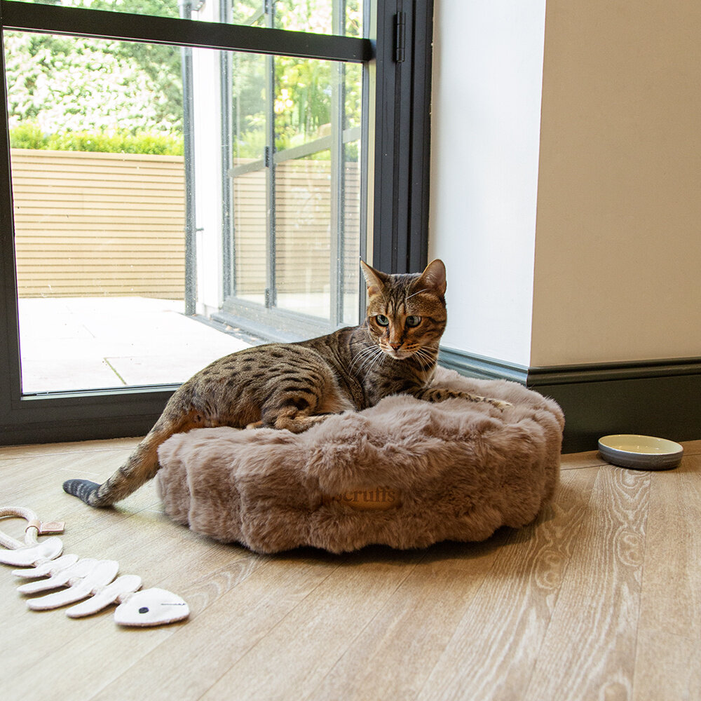 Scruffs Alpine Cat Bed Taupe ontworpen voor ultiem comfort van katten en kleine honden. Scruffs Alpine Cat Bed Taupe ontworpen voor ultiem comfort van katten en kleine honden.