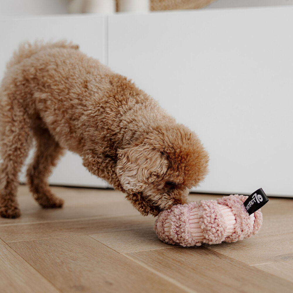 District 70 Daisy snuffelspeeltje District 70 Daisy snuffelspeeltje