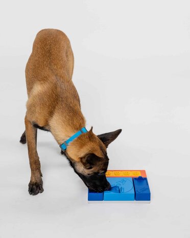 Pawzler Beginner set, interactieve hondenpuzzel voor puppy's en honden die nog niet bekend zijn met puzzelspeeltjes. Pawzler Beginner set, interactieve hondenpuzzel voor puppy's en honden die nog niet bekend zijn met puzzelspeeltjes.