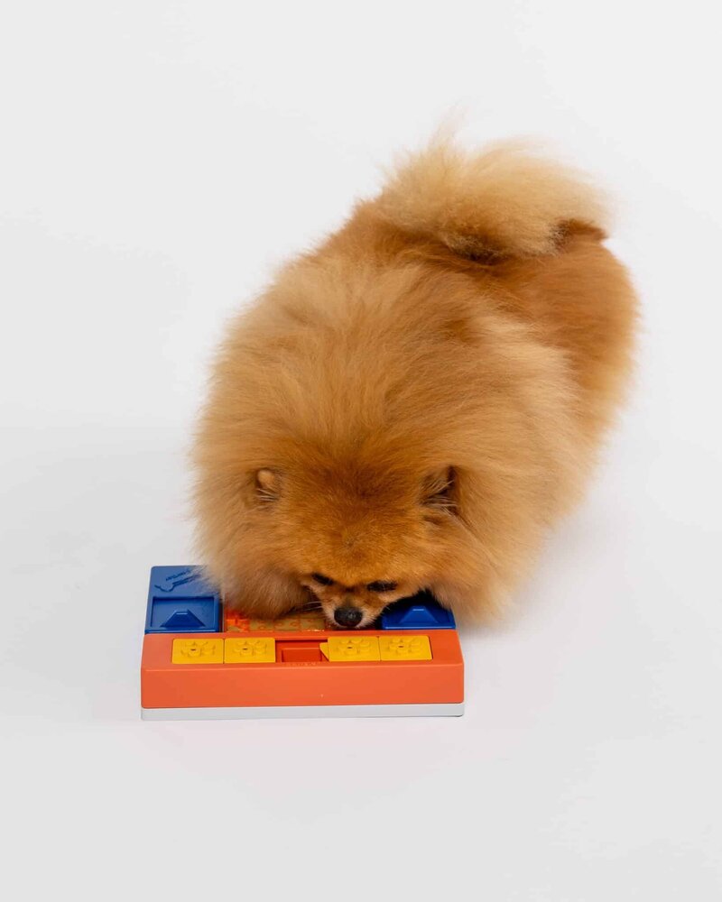 Pawzler Beginner set, interactieve hondenpuzzel voor puppy's en honden die nog niet bekend zijn met puzzelspeeltjes. Pawzler Beginner set, interactieve hondenpuzzel voor puppy's en honden die nog niet bekend zijn met puzzelspeeltjes.