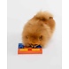 Pawzler Beginner set, interactieve hondenpuzzel voor puppy's en honden die nog niet bekend zijn met puzzelspeeltjes. Pawzler Beginner set, interactieve hondenpuzzel voor puppy's en honden die nog niet bekend zijn met puzzelspeeltjes.