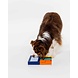 Pawzler Smarty set een interactieve hondenpuzzel een set die verschillende Pawzles op niveau 2 combineert. Pawzler Smarty set een interactieve hondenpuzzel een set die verschillende Pawzles op niveau 2 combineert.