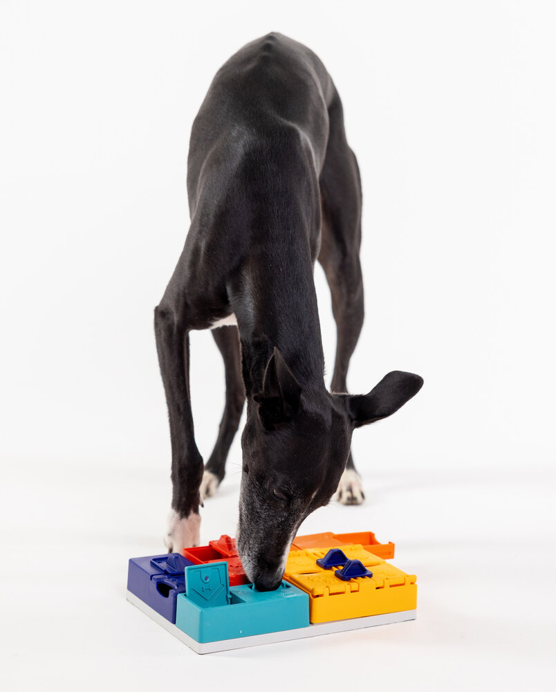 Pawzler Genius set een interactieve hondenpuzzel voor honden met puzzelervaring die van een uitdaging houden. Pawzler Genius set een interactieve hondenpuzzel voor honden met puzzelervaring die van een uitdaging houden.