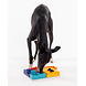 Pawzler Genius set een interactieve hondenpuzzel voor honden met puzzelervaring die van een uitdaging houden. Pawzler Genius set een interactieve hondenpuzzel voor honden met puzzelervaring die van een uitdaging houden.