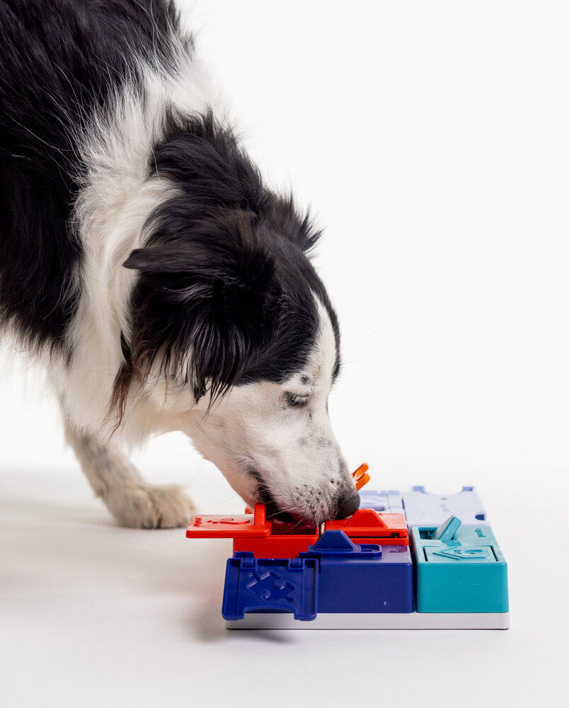 Pawzler Genius set een interactieve hondenpuzzel voor honden met puzzelervaring die van een uitdaging houden. Pawzler Genius set een interactieve hondenpuzzel voor honden met puzzelervaring die van een uitdaging houden.