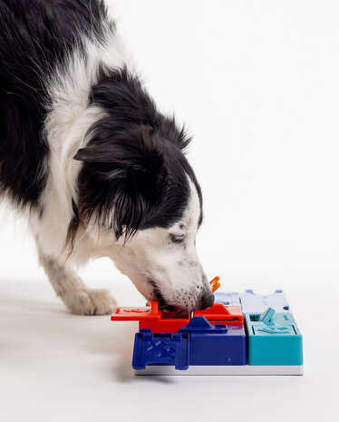 Pawzler Genius set een interactieve hondenpuzzel voor honden met puzzelervaring die van een uitdaging houden. Pawzler Genius set een interactieve hondenpuzzel voor honden met puzzelervaring die van een uitdaging houden.