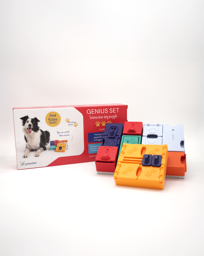 Pawzler Genius set een interactieve hondenpuzzel voor honden met puzzelervaring die van een uitdaging houden. Pawzler Genius set een interactieve hondenpuzzel voor honden met puzzelervaring die van een uitdaging houden.