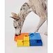 Pawzler Rainbow set een interactieve hondenpuzzel Pawzler Rainbow set een interactieve hondenpuzzel