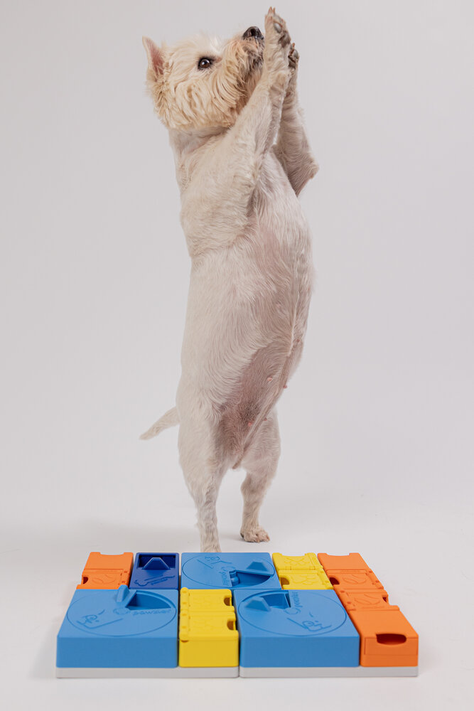 Pawzler Base het fundament van elke Pawzler puzzelopstelling Pawzler Base het fundament van elke Pawzler puzzelopstelling