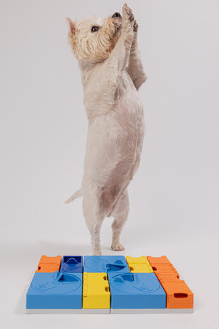 Pawzler Base het fundament van elke Pawzler puzzelopstelling Pawzler Base het fundament van elke Pawzler puzzelopstelling