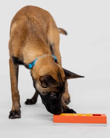 Pawzler Zhu level 1 is een interactieve hondenpuzzel(element) voor puppy's en honden die nog niet bekend zijn met puzzelspeeltjes. Pawzler Zhu level 1 is een interactieve hondenpuzzel(element) voor puppy's en honden die nog niet bekend zijn met puzzelspeeltjes.