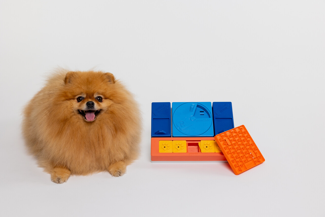 Pawzler Zhu level 1 is een interactieve hondenpuzzel(element) voor puppy's en honden die nog niet bekend zijn met puzzelspeeltjes. Pawzler Zhu level 1 is een interactieve hondenpuzzel(element) voor puppy's en honden die nog niet bekend zijn met puzzelspeeltjes.