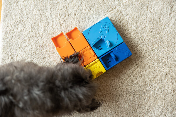 Pawzler Onix level 1 is een interactieve hondenpuzzel(element) voor puppy's en honden die nog niet bekend zijn met puzzelspeeltjes. Pawzler Onix level 1 is een interactieve hondenpuzzel(element) voor puppy's en honden die nog niet bekend zijn met puzzelspeeltjes.