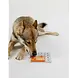 Pawzler Terra level 1 is een likmat die bevestigt kan worden op de Pawzler Base. Pawzler Terra level 1 is een likmat die bevestigt kan worden op de Pawzler Base.