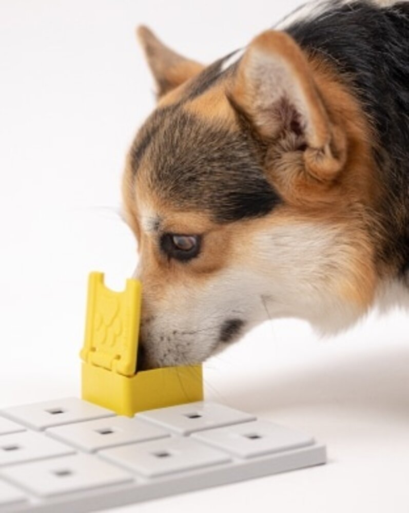 Pawzler Zoey level 2 is een interactieve hondenpuzzel(element) voor honden die klaar zijn om hun puzzelvaardigheden naar een hoger niveau te tillen. Pawzler Zoey level 2 is een interactieve hondenpuzzel(element) voor honden die klaar zijn om hun puzzelvaardigheden naar een hoger niveau te tillen.