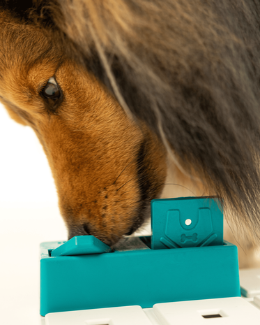 Pawzler Nai level 2 is een interactieve hondenpuzzel(element) voor honden die klaar zijn om hun puzzelvaardigheden naar een hoger niveau te tillen. Pawzler Nai level 2 is een interactieve hondenpuzzel(element) voor honden die klaar zijn om hun puzzelvaardigheden naar een hoger niveau te tillen.