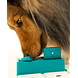 Pawzler Nai level 2 is een interactieve hondenpuzzel(element) voor honden die klaar zijn om hun puzzelvaardigheden naar een hoger niveau te tillen. Pawzler Nai level 2 is een interactieve hondenpuzzel(element) voor honden die klaar zijn om hun puzzelvaardigheden naar een hoger niveau te tillen.