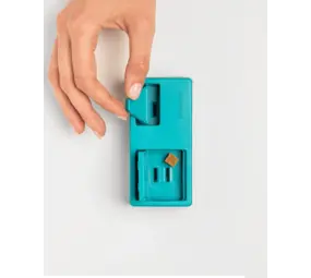 Pawzler Nai level 2 Pawzler Nai level 2
