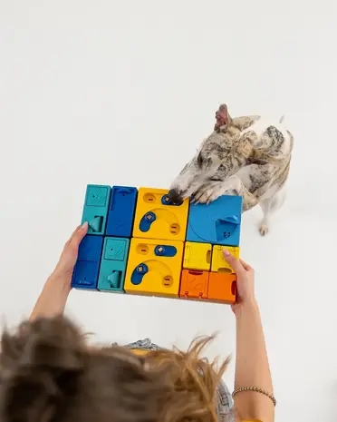 Pawzler Kaya level 2 is een interactieve hondenpuzzel(element) voor honden die klaar zijn om hun puzzelvaardigheden naar een hoger niveau te tillen. Pawzler Kaya level 2 is een interactieve hondenpuzzel(element) voor honden die klaar zijn om hun puzzelvaardigheden naar een hoger niveau te tillen.